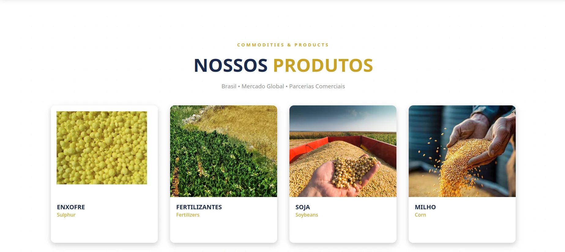 Gopar - Comercios Globais — seção 3 do projeto desenvolvido pela Axolutions