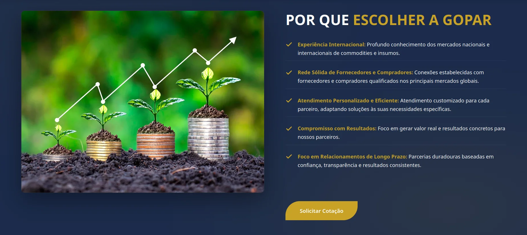 Gopar - Comercios Globais — seção 9 do projeto desenvolvido pela Axolutions