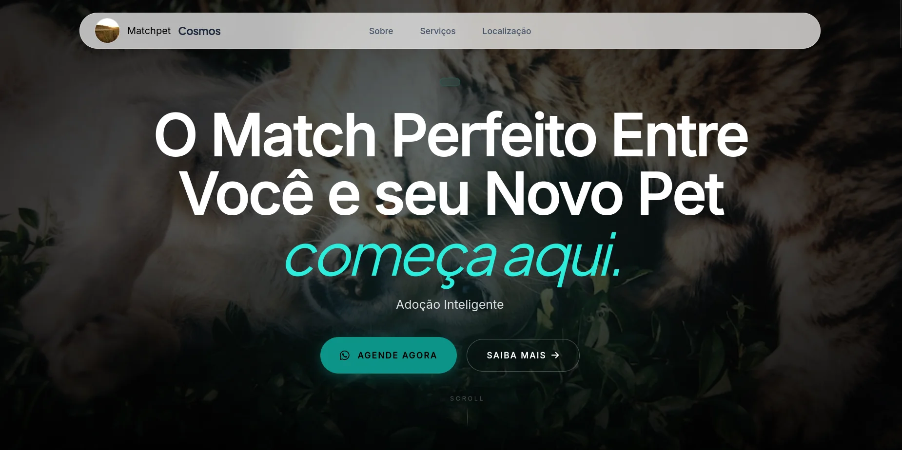 MatchPet — seção 1 do projeto desenvolvido pela Axolutions