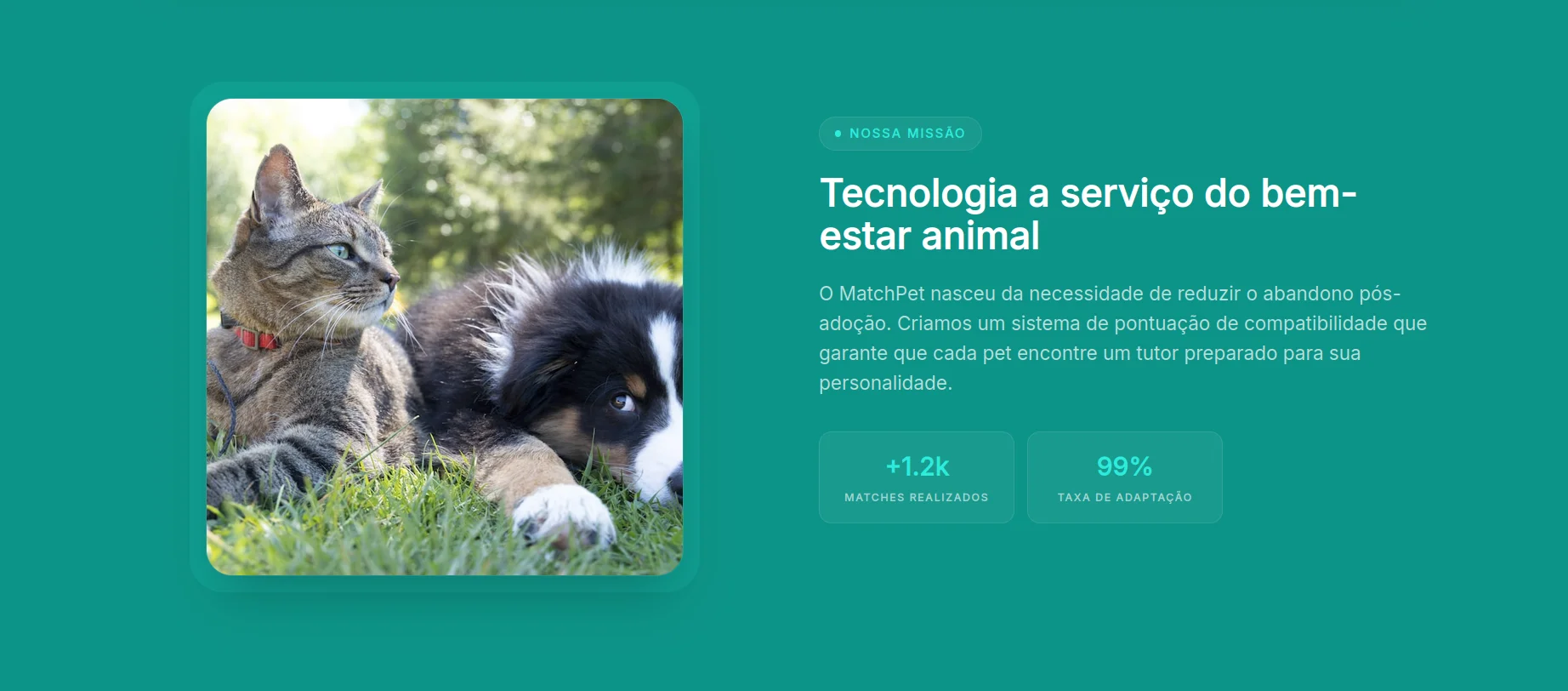 MatchPet — seção 2 do projeto desenvolvido pela Axolutions