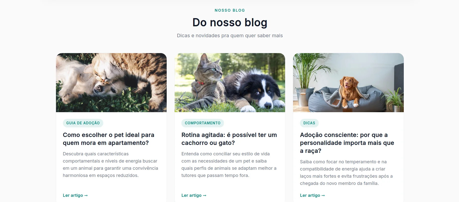 MatchPet — seção 8 do projeto desenvolvido pela Axolutions