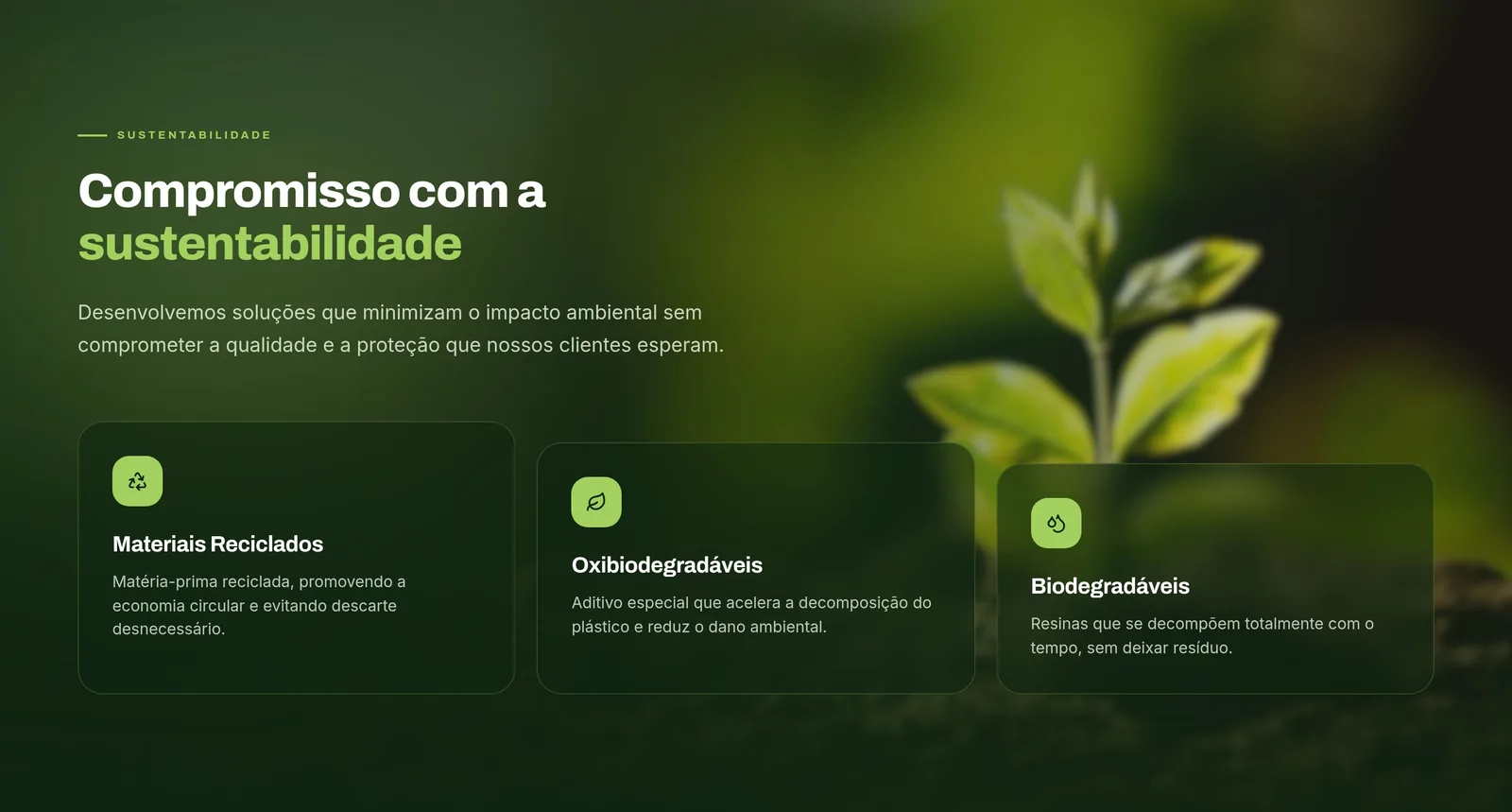 Lobplast Embalagens — seção 3 do projeto desenvolvido pela Axolutions